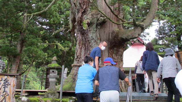 美人林日帰りウォークと天然記念物虫川大スギ探勝の様子②